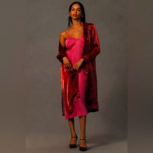 Anthropologie Sheer Trench Large